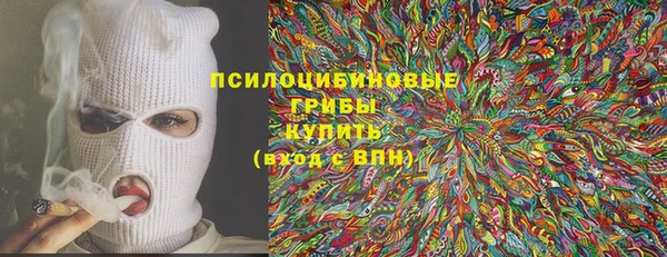 не бодяженный Каменногорск