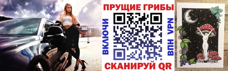 Псилоцибиновые грибы Psilocybe  Купить  Гдов 