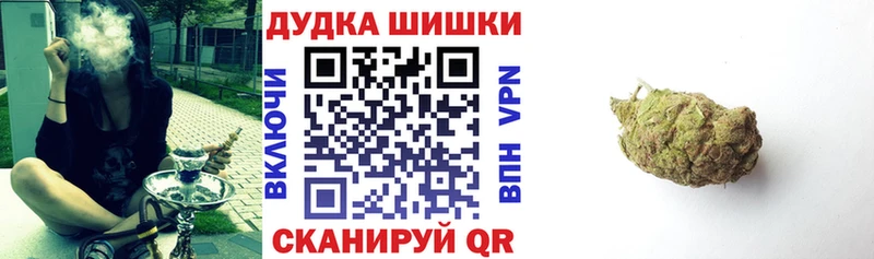 Купить закладки  Гдов  Шишки марихуана AK-47 
